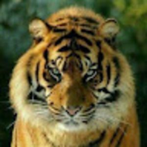 Meet your Posher, Danny